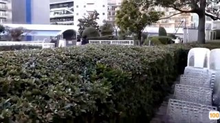 久99视频5页人碰人在线-免费在线观看-日韩中文字幕
